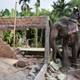 India Elephant Evictors